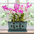 9.5 Inch Ceramic Orchid Pot with Saucers for Home Decor