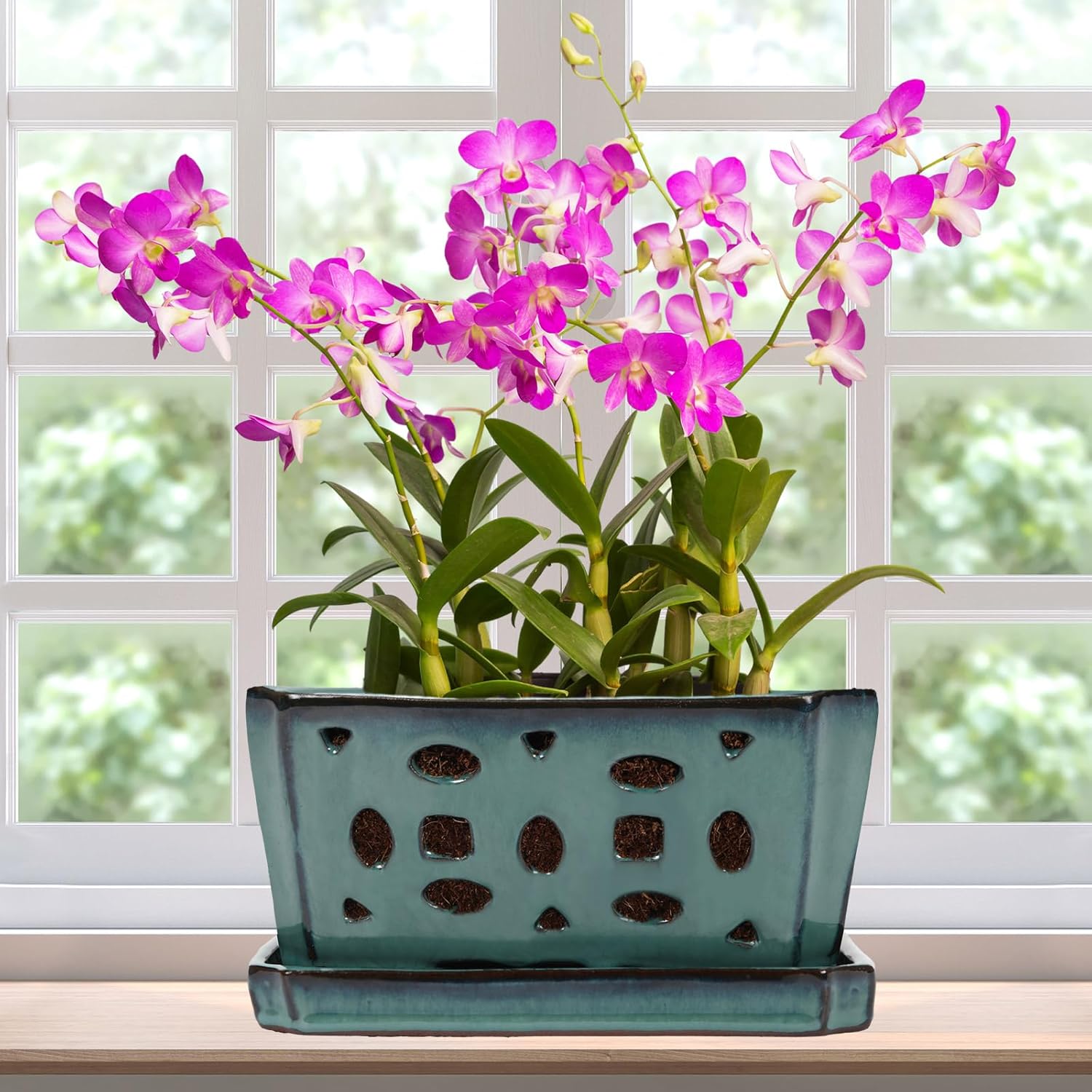 9.5 Inch Ceramic Orchid Pot with Saucers for Home Decor