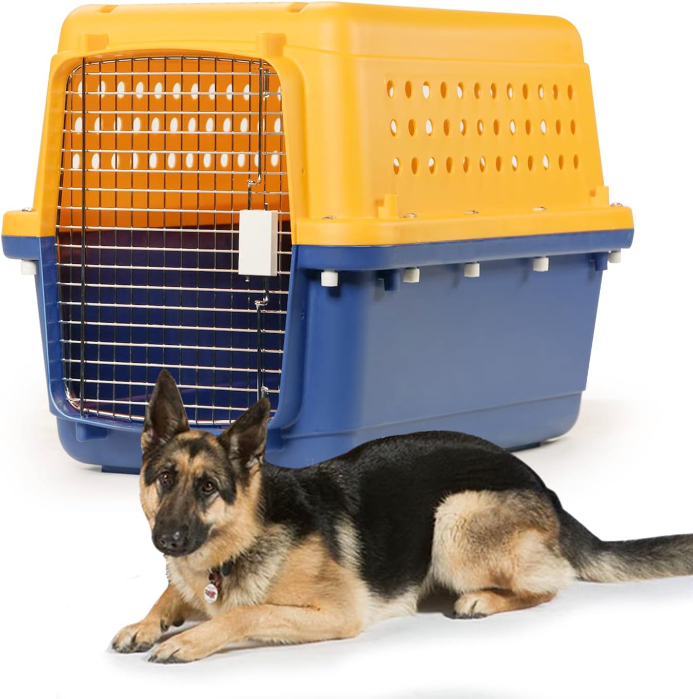 Durable Heavy Duty Dog Cat Kennel for Safe Pet Travel