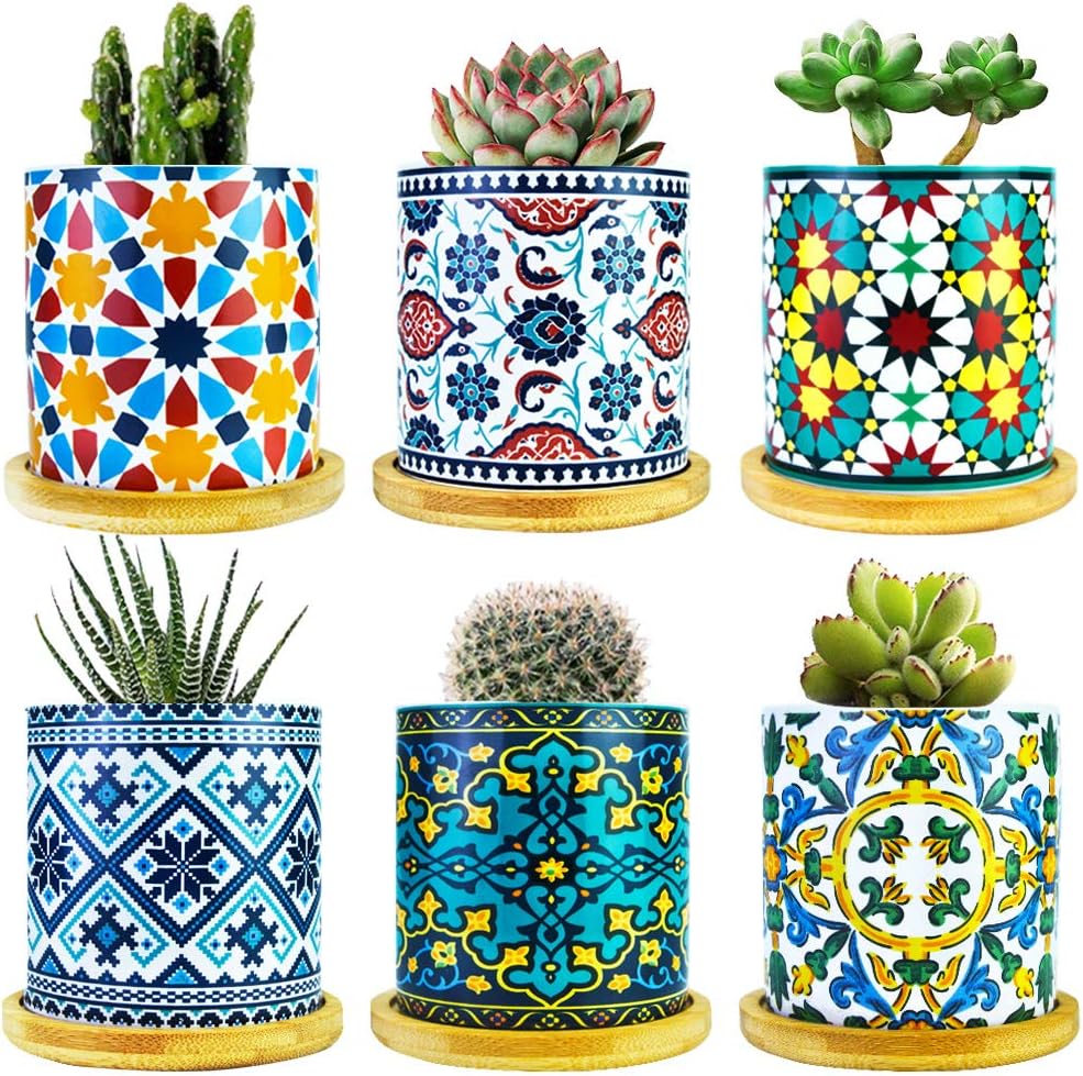 6 Pack Mandala Succulent Plant Pots with Bamboo Trays for Display