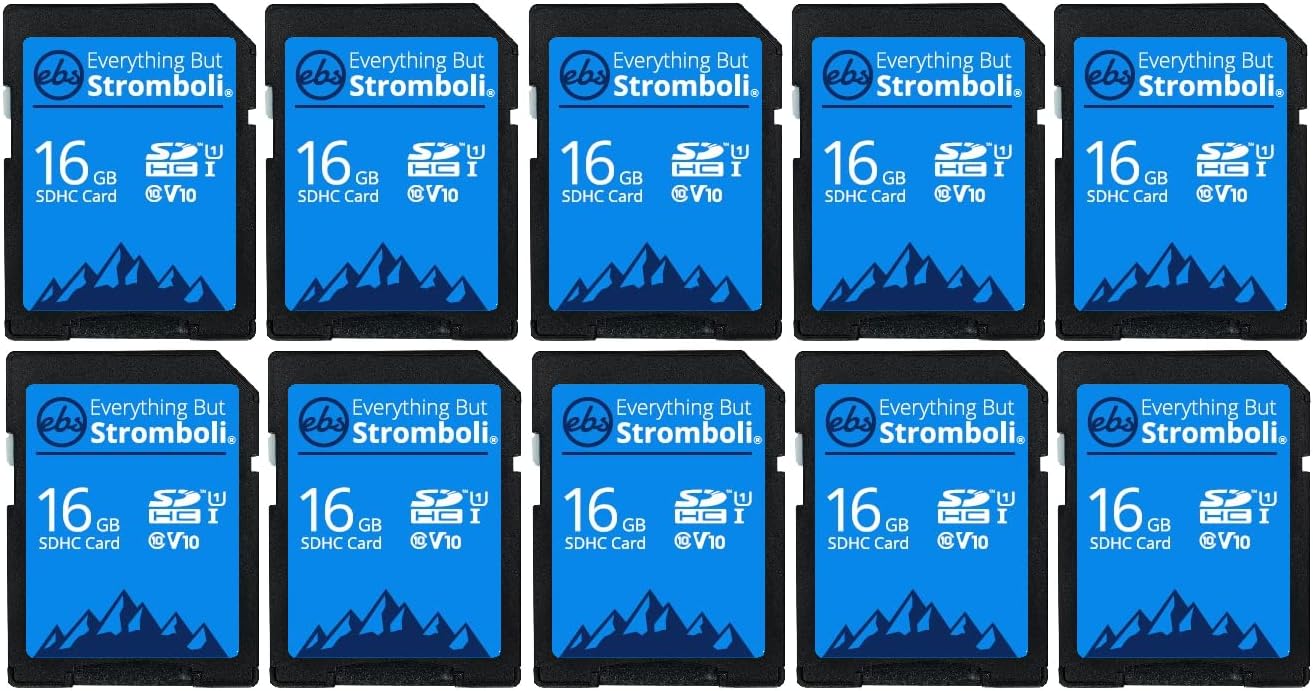 Everything But Stromboli 16GB SD Card 10 Pack for Cameras