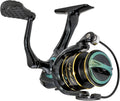 Wally Marshall Sig Series 5.2:1 Spinning Reel Clam - Smooth Saltwater