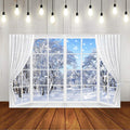 Winter Scene Backdrop for Holiday Wonderland Photography Fun