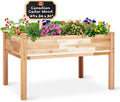 Raised Canadian Cedar Garden Bed - Elevated Wood Planter 49x34x30