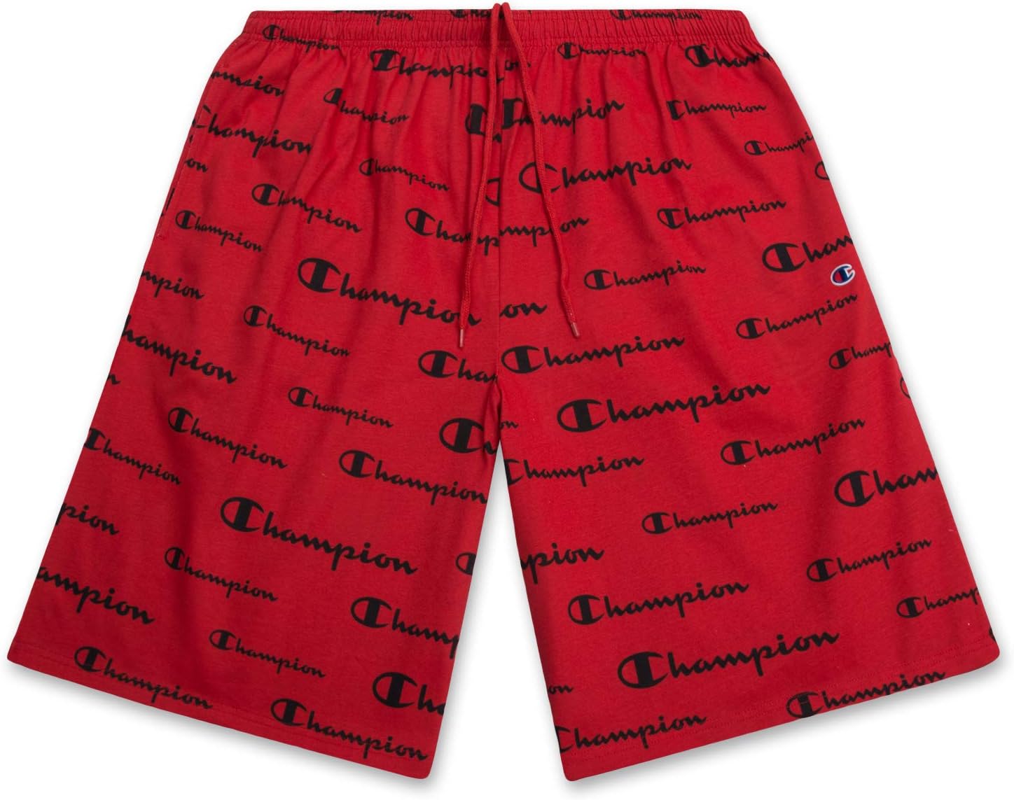Champion Big & Tall All-Over Print Gym Shorts