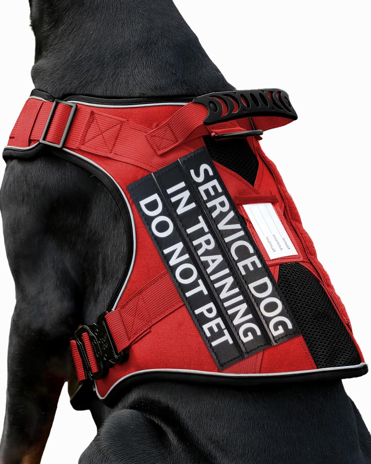 Reflective No Pull Dog Harness for Training and Walking Comfort