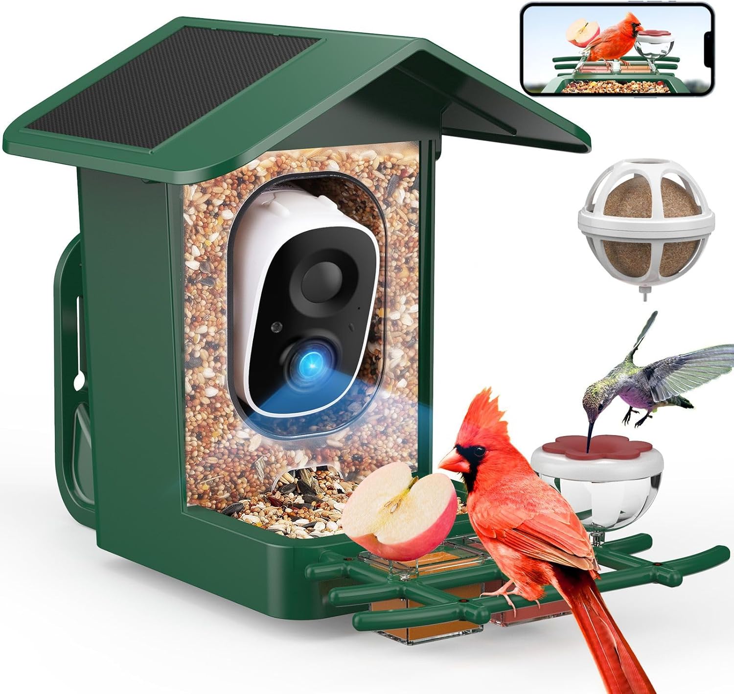 PeckCam Bird Feeder with Camera for Bird Lovers and Enthusiasts
