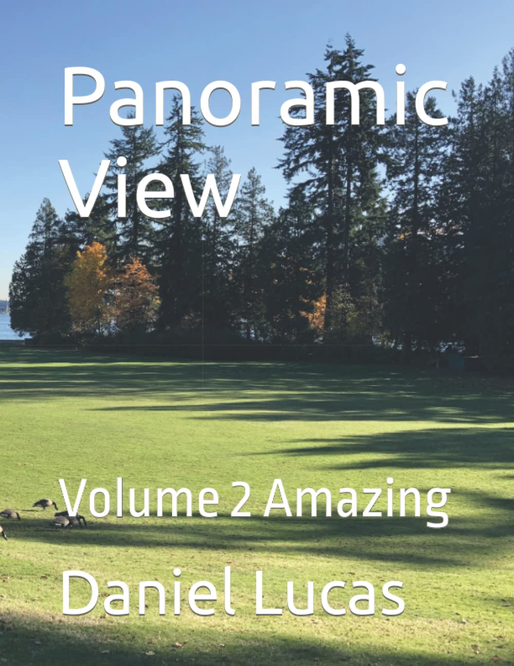 Panoramic View: Volume 2 Amazing - A Stunning Visual Journey