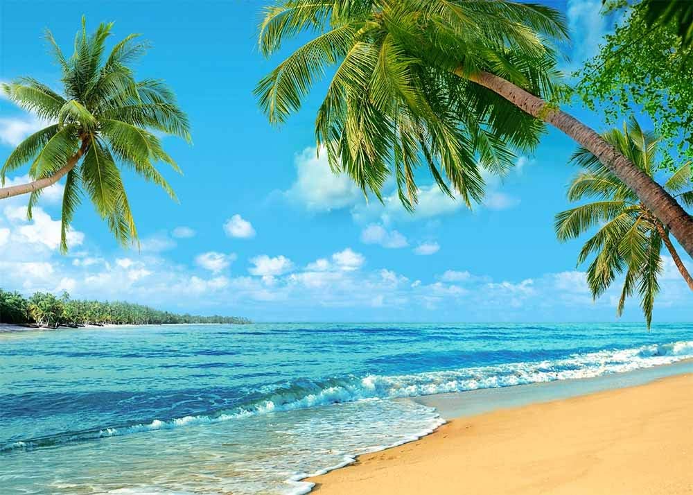10x8ft Summer Tropical Hawaii Palm Tree Photography Backdrop