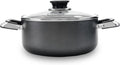 Alpine Cuisine 5 Quart Non-stick Dutch Oven - Even Heating and Easy