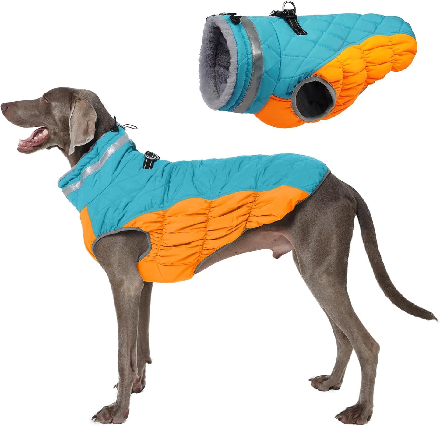 Warm Dog Coats For Large Dogs With Waterproof Design & Harness