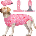 Dog Recovery Suit Female Onesie for Surgery - Comfortable Post-Op Wear