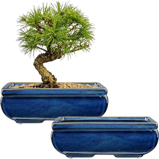 Succulent Planters Set of 2 Large Ceramic Pots for Bonsai Trees