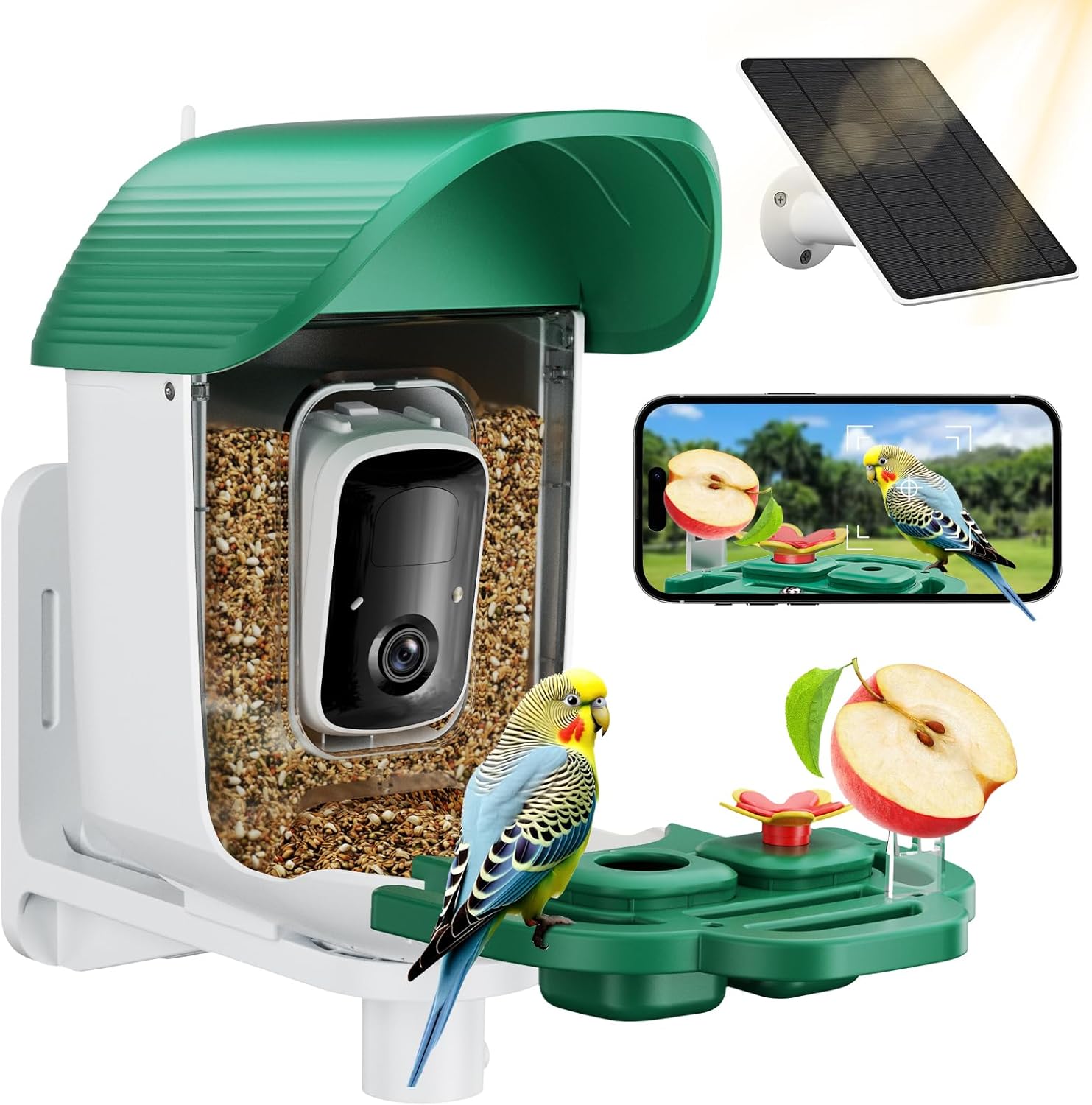 Bird Feeder with Camera for Smart Birdwatching and Alerts