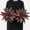 Fake Agave Plants 13.8in Large UV Resistant - Realistic 2 Pack