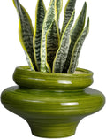Ceramic Planters for Indoor Plants 11 in - Decorative Green Pot
