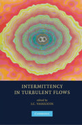 Intermittency in Turbulent Flows - Authoritative Workshop