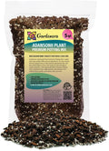 Monstera Adansonii Planting Mix - Aeration, Drainage & Nutrients