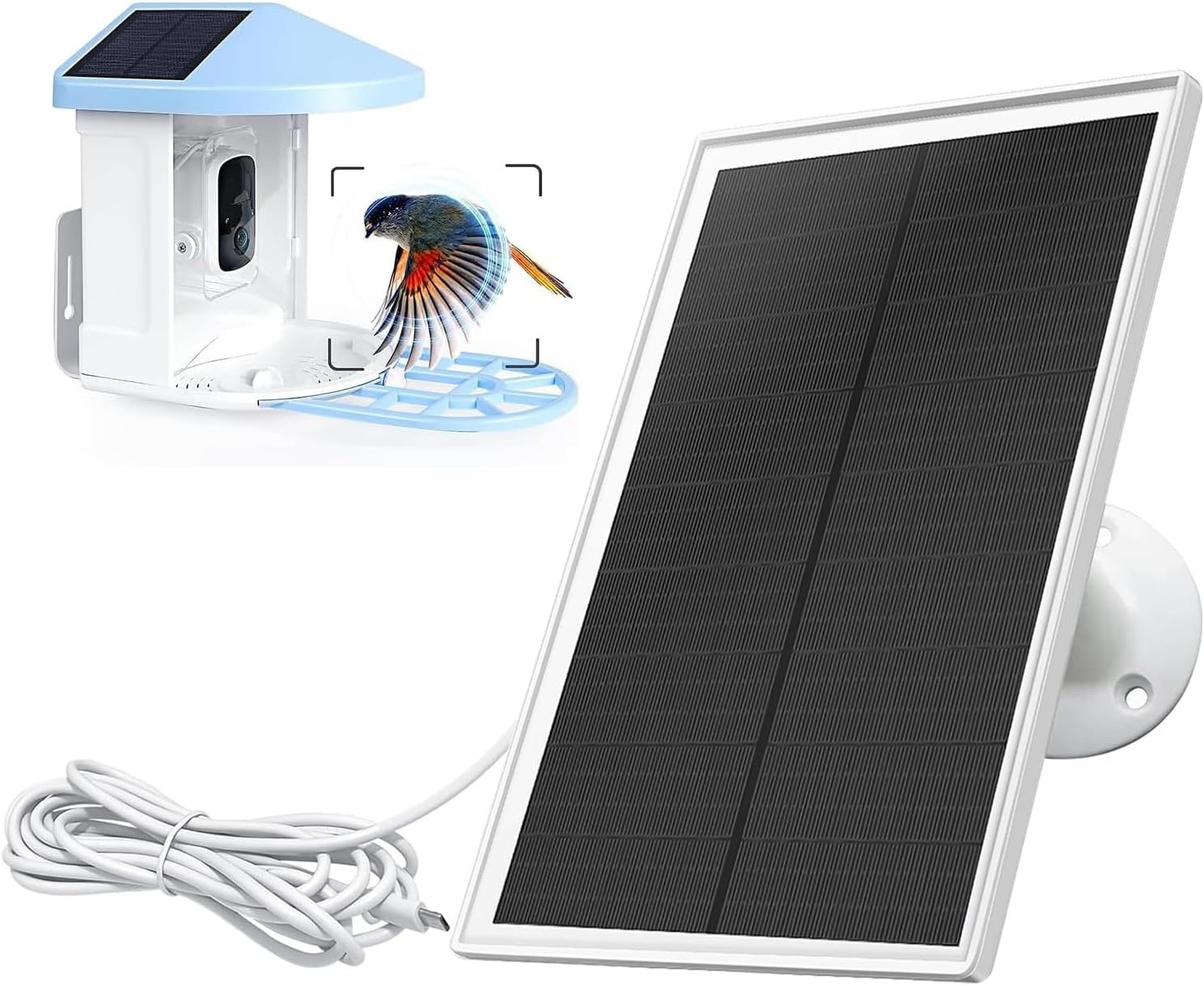 Power Up Your Bird Feeder Camera with Solar Charger!
