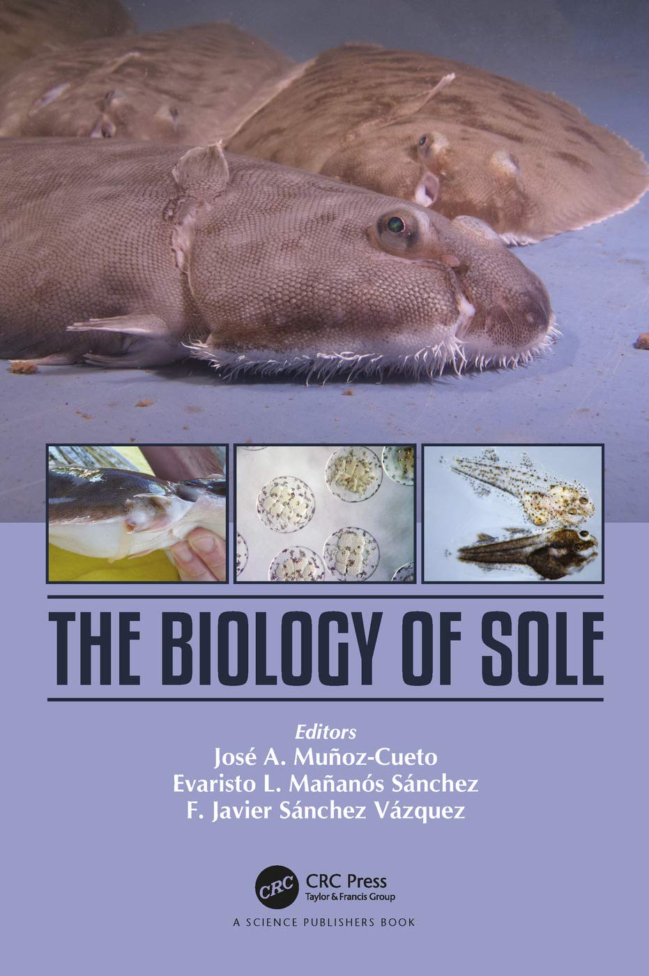 The Biology of Sole: A Comprehensive Study on Sole Fish
