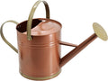 Classic Shiny Galvanized Metal Watering Can - Timeless Easy-Pour