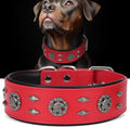Premium Leather Dog Collar for Large Dogs - Durable 2-in Wide XL