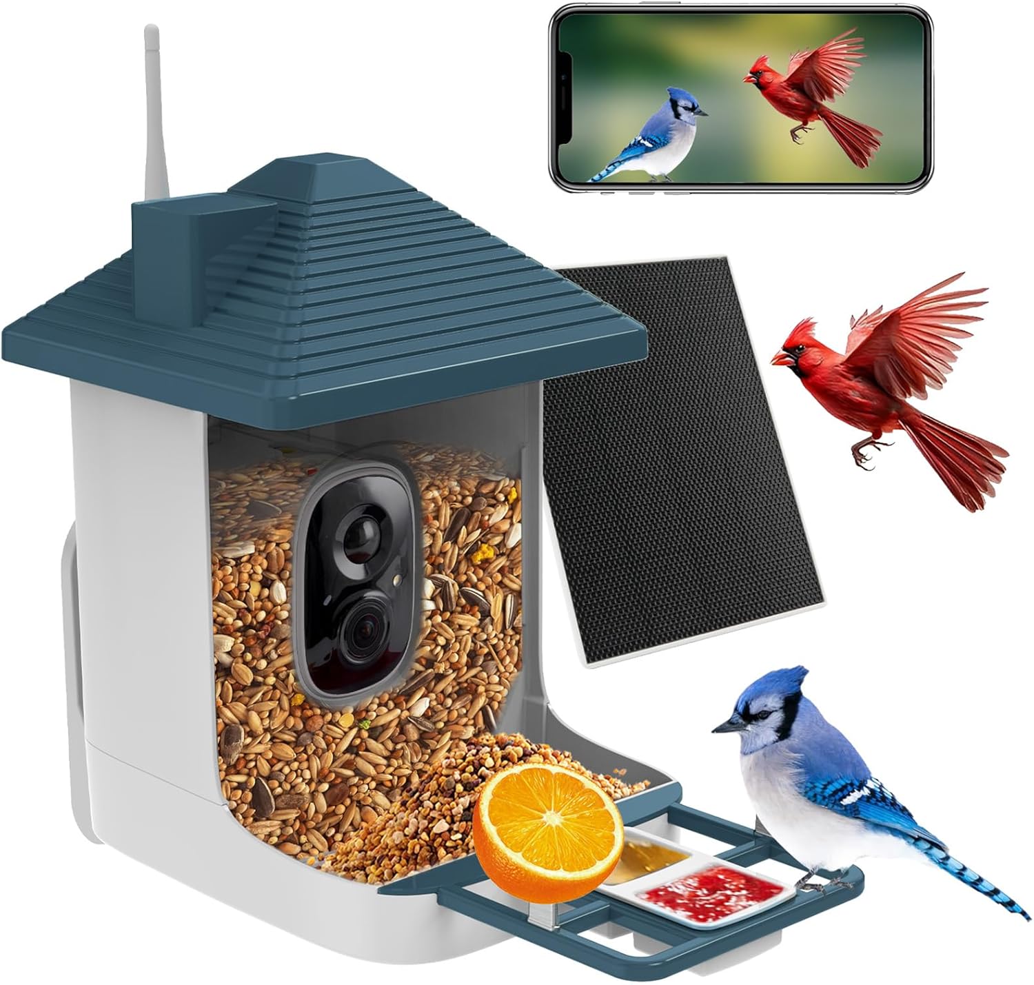 Smart Bird Feeder: AI Species ID, Solar Power, 2K Video Capture