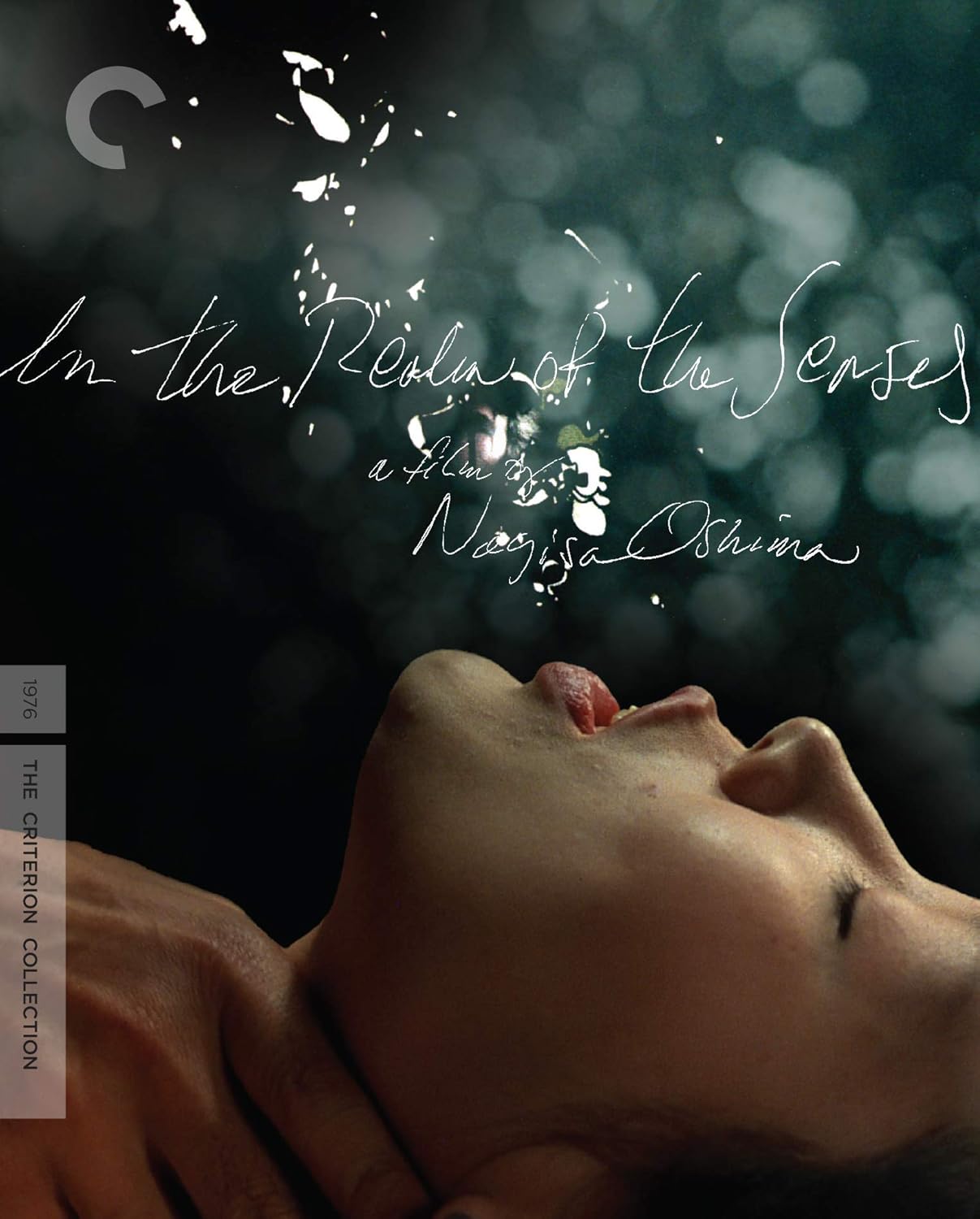 In the Realm of the Senses Blu-ray - A Captivating Experience
