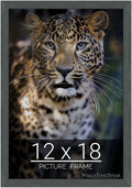 wallsthatspeak 12x18 Slate Gray Picture Frame for Puzzles and Posters
