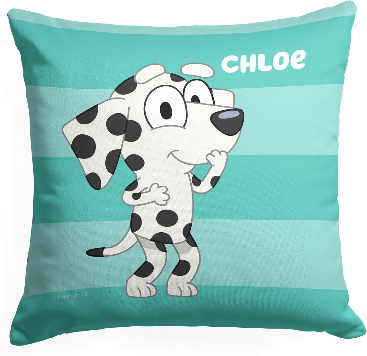 Comfort in Style: Northwest Bluey Pillow 18x18 Roll Call Chloe