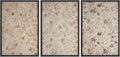 Framed Vintage Floral Botanical Wall Art Print Set - Neutral Tones