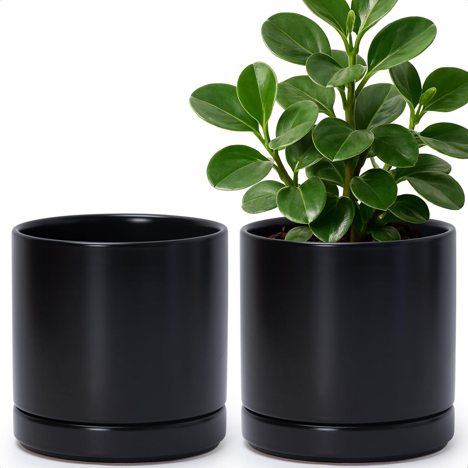 D'vine Dev Set of 2 Ceramic Planter Pots with Drainage Holes