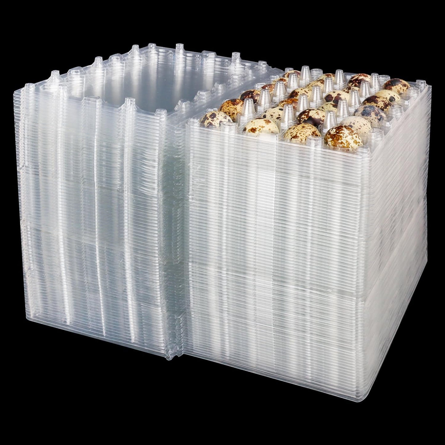 120 Pack Quail Egg Cartons for Secure Bulk Storage and Display