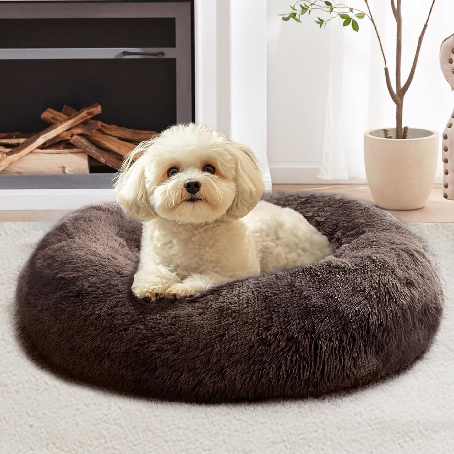 JOLLYVOGUE Medium Calming Dog Bed for Ultimate Comfort