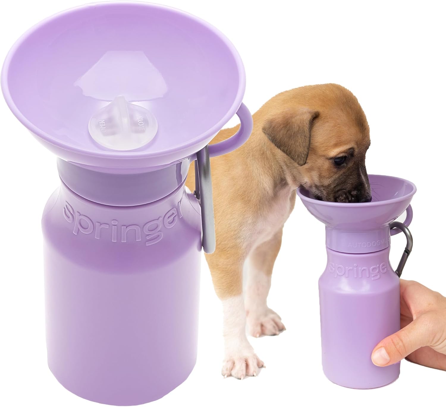 Portable Dog Water Bottle | Leak-Proof Springer