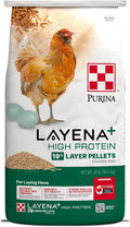 Purina Layena High Protein Layer Chicken Feed for Healthy Hens