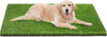 Artificial Grass 26x51 in Dog Pee Pads - Portable Training Rug