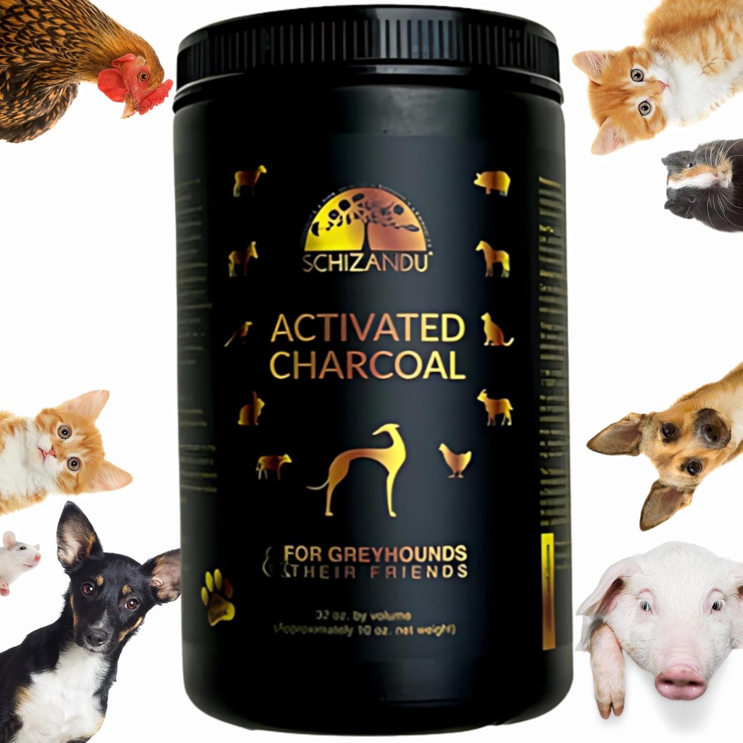 Activated Charcoal Powder for Dogs and Pets - Detox & Health