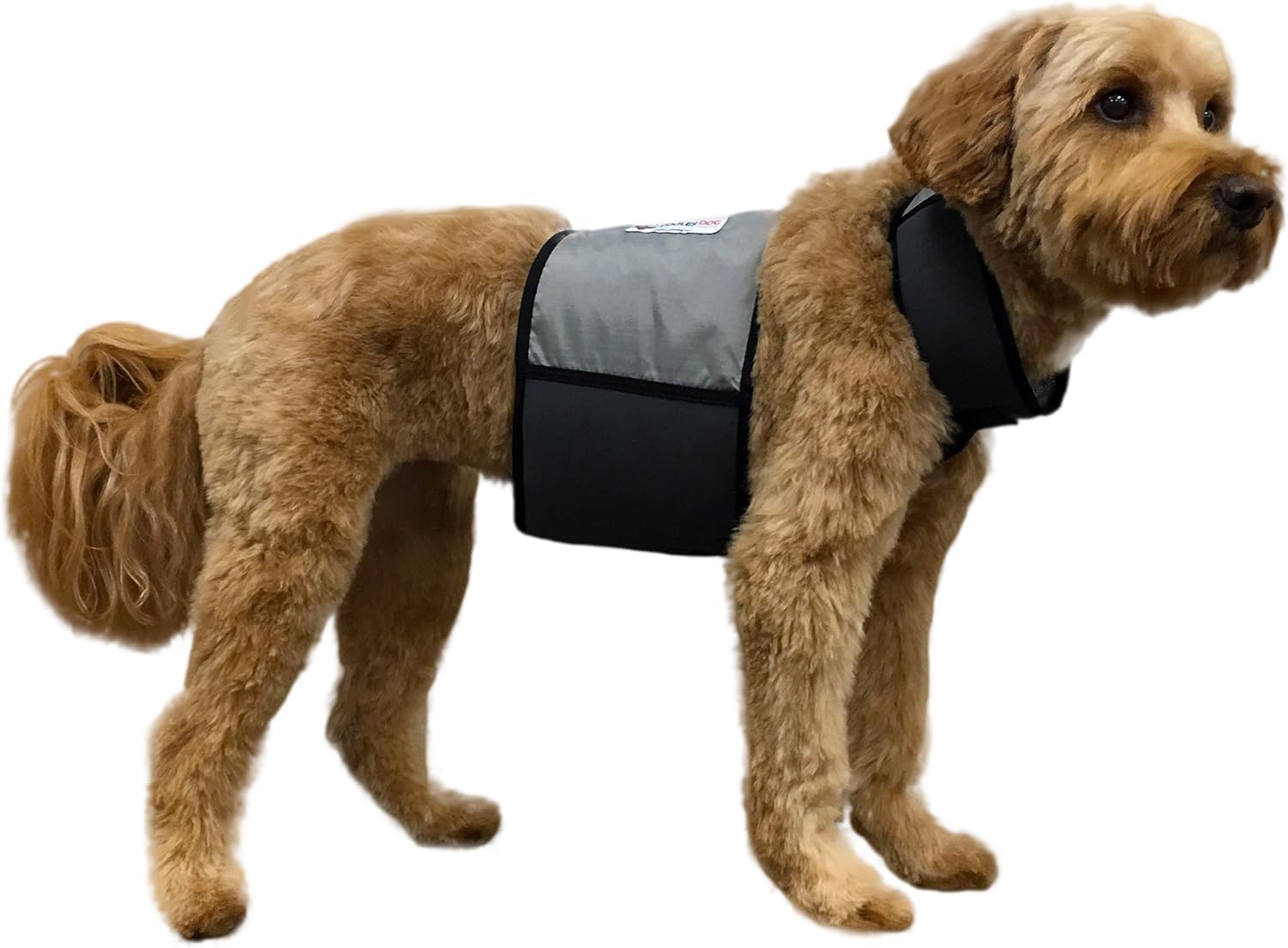 Dog Cooling Vest and Collar - Effective Ice Vest for Dogs