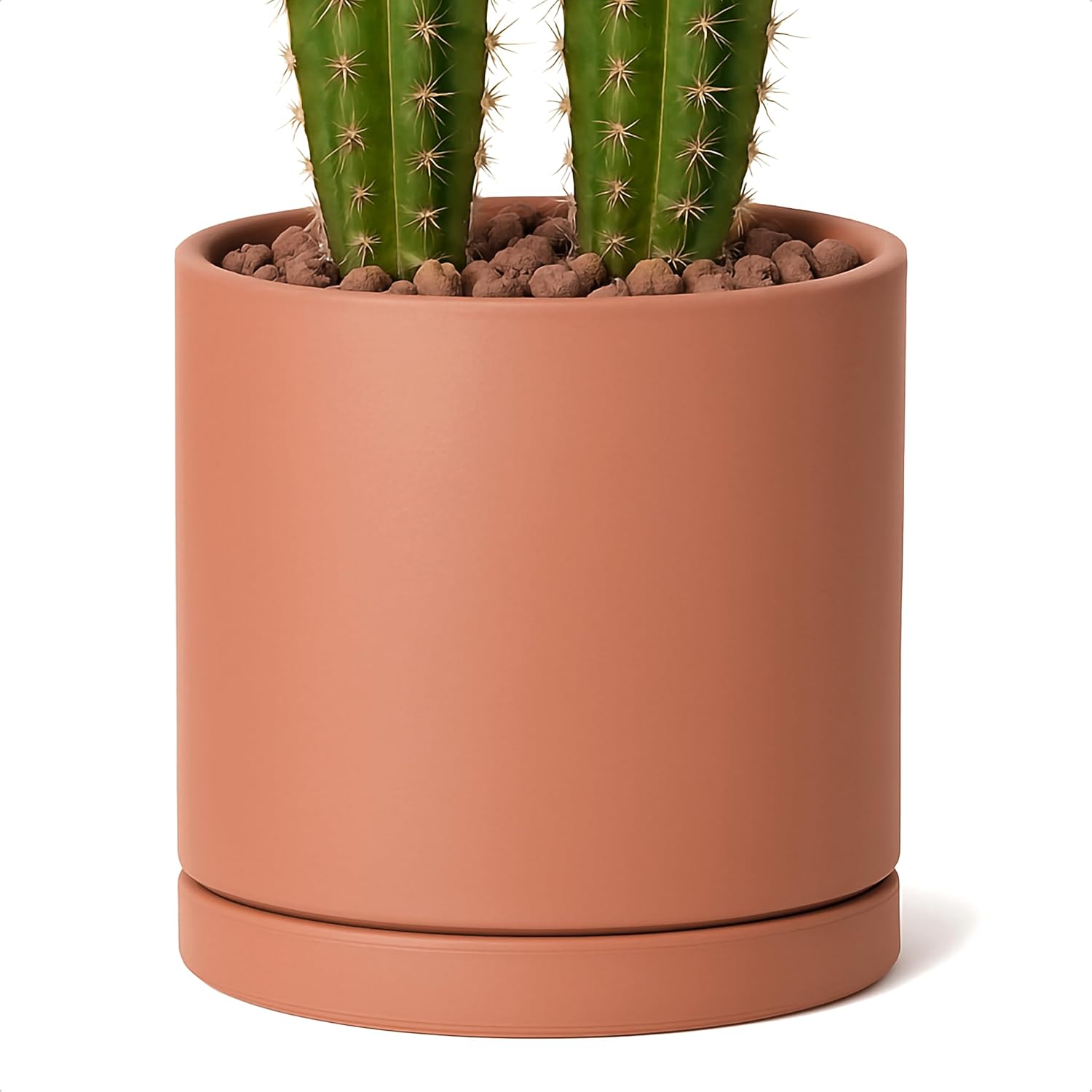 D'vine Dev Large 10 Inch Terracotta Plant Pot with Saucer