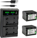 4000mAh VW-VBK360 Replacement Battery 2-Pack with Dual USB Charger