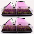 Seed Starter Tray with Plant Light - Complete 4-Tray Seed Starting Kit
