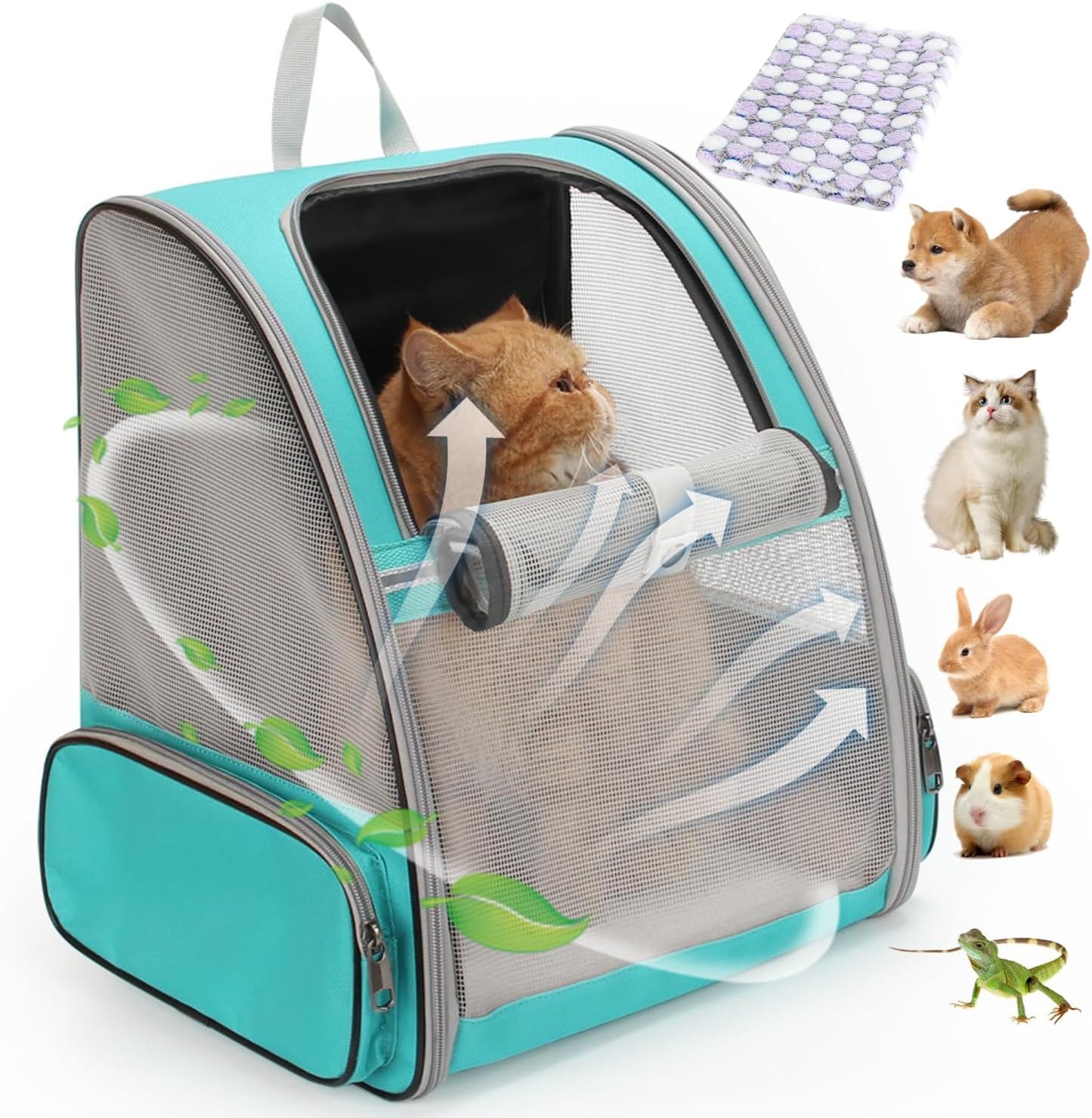Mesh Green Pet Carrier Backpack: Airline Approved