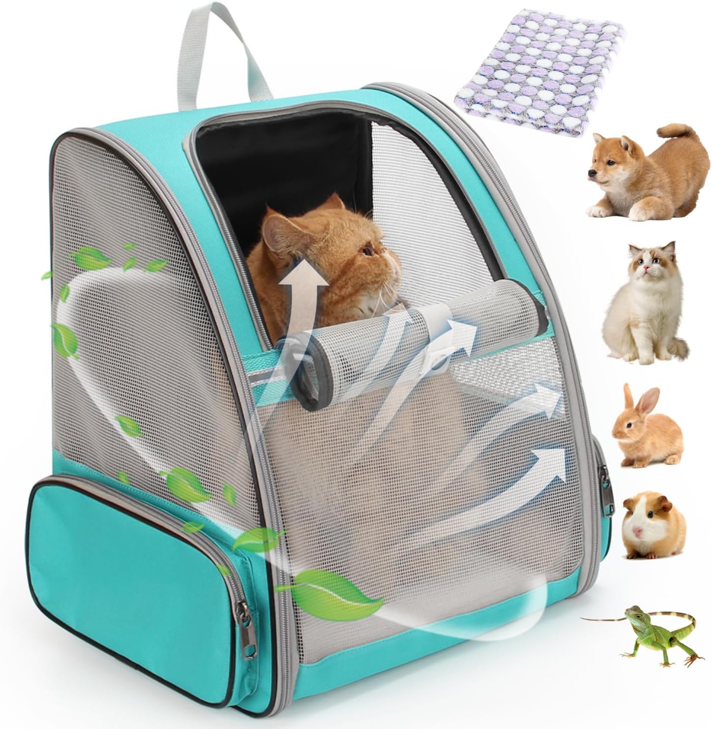 Mesh Green Pet Carrier Backpack: Airline Approved
