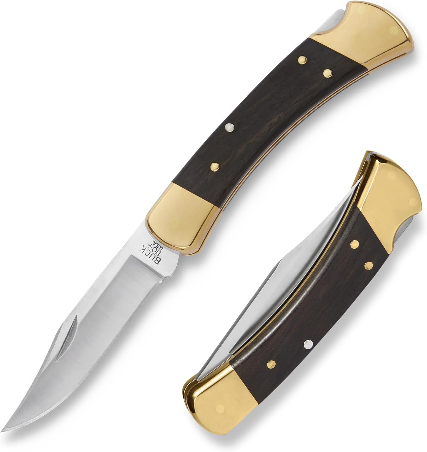 Buck Knives 110 Folding Hunter Knife with Ebony Handle and Sheath