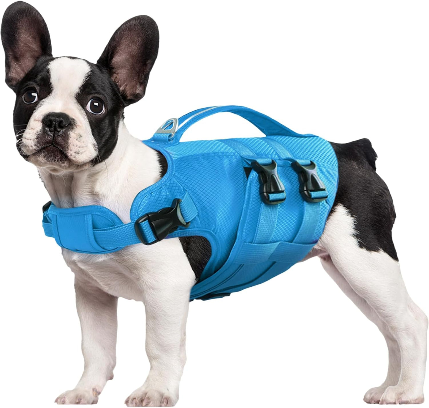 Kuoser Dog Life Jacket XL for Swimming and Boating Safety