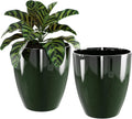 10 in Plant Pot 2 Pack - Sturdy Indoor & Outdoor Planters
