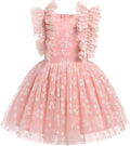 Girls Birthday Party Dress with Butterfly and Polka Dots