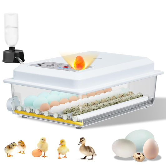 36 Egg Incubator with Automatic Turning and Humidity Control