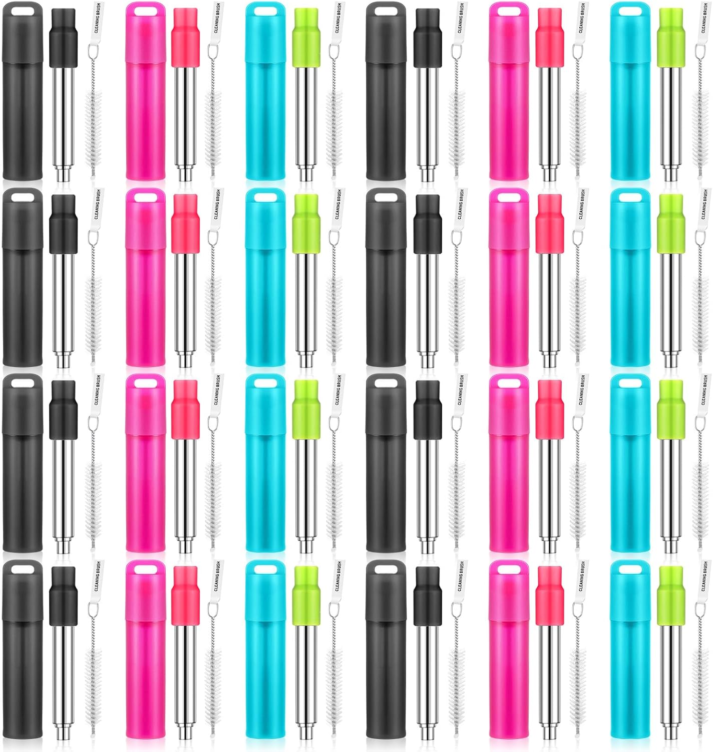 Gejoy Metal Reusable Straw Travel Set with Case and Tips